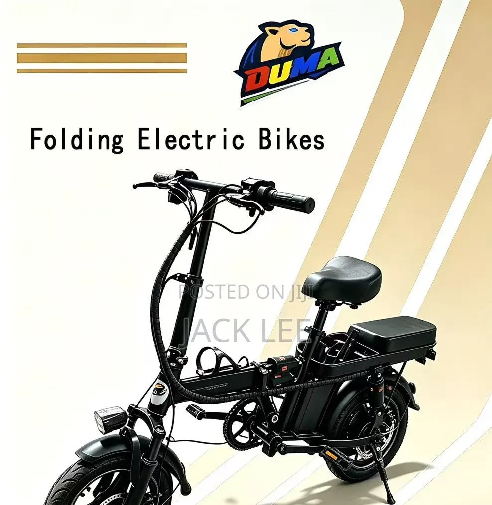 Electric Vehicles