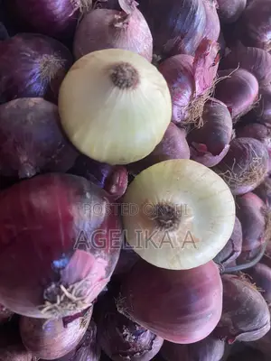Fresh Onions (Wholesale, Retail and Supply)