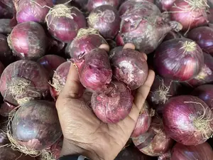 Fresh Onions (Wholesale, Retail and Supply)