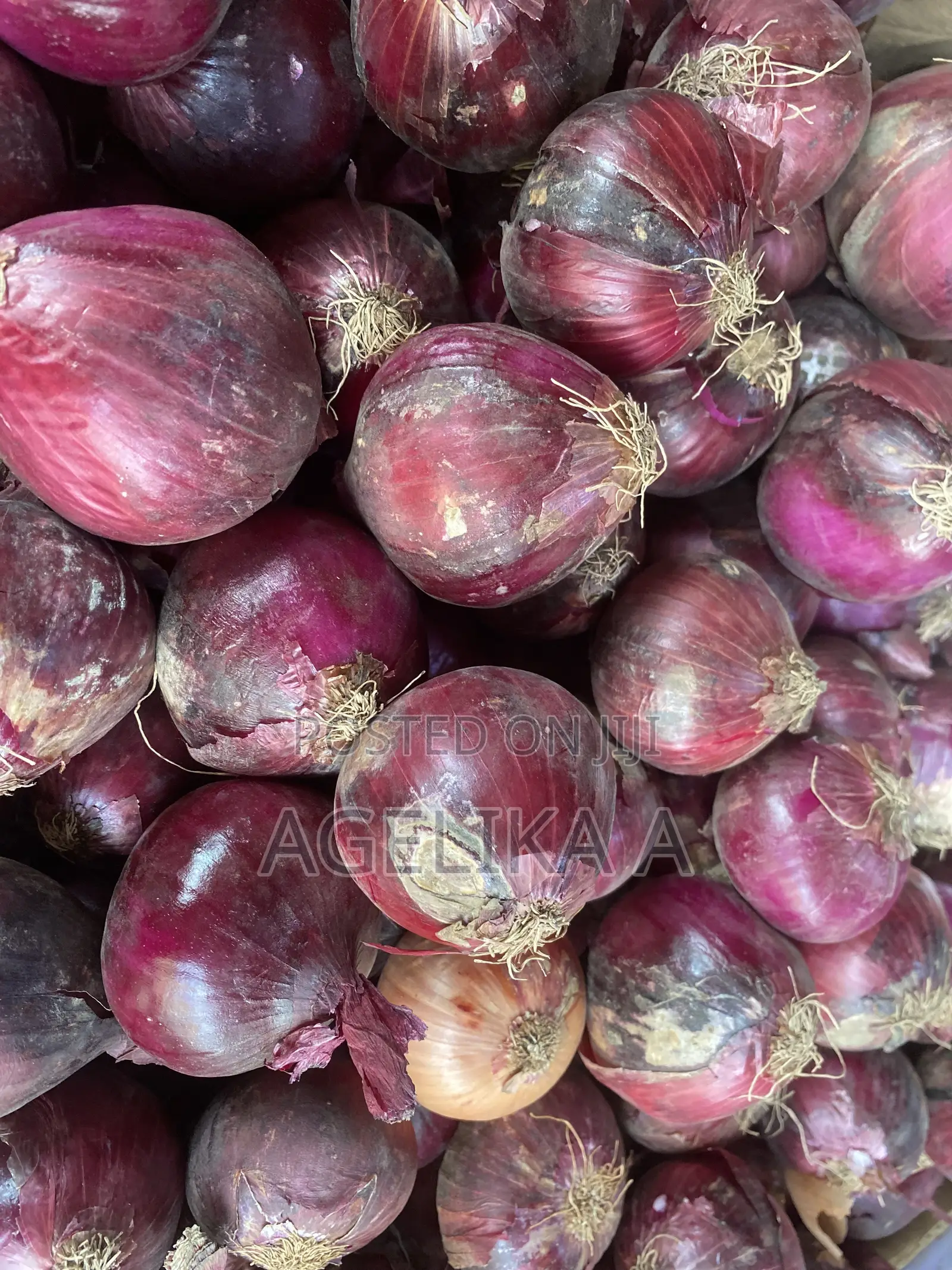 Fresh Onions (Wholesale, Retail and Supply)
