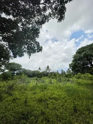 Malindi Kizingo ; 4 Acres.