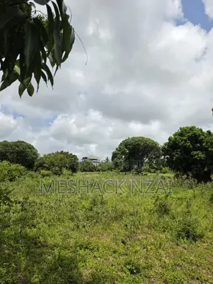 Malindi Kizingo ; 4 Acres.