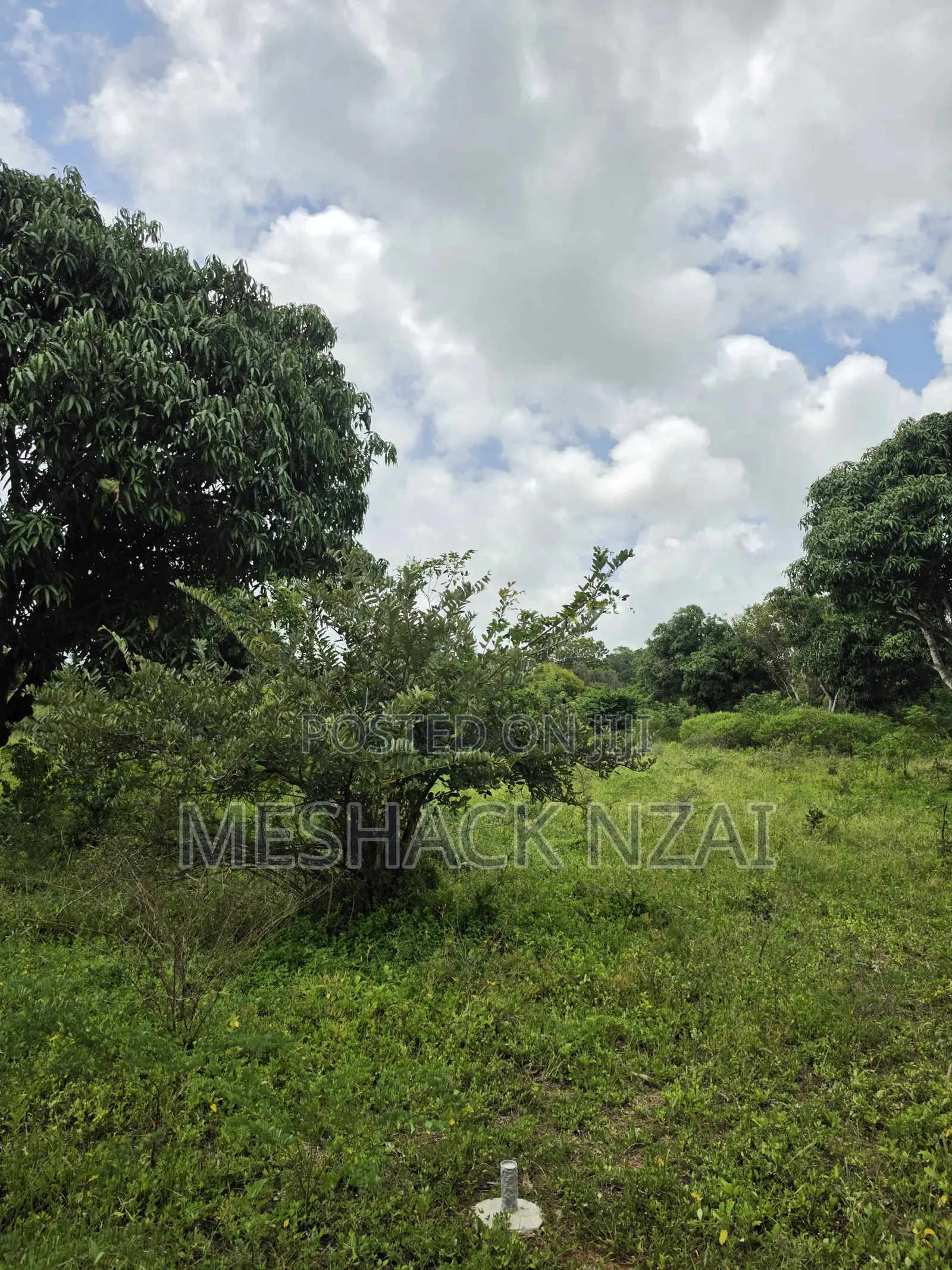 Malindi Kizingo ; 4 Acres.