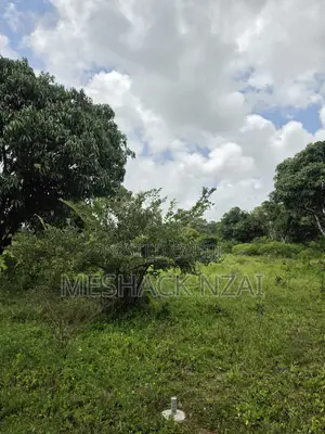 Malindi Kizingo ; 4 Acres.
