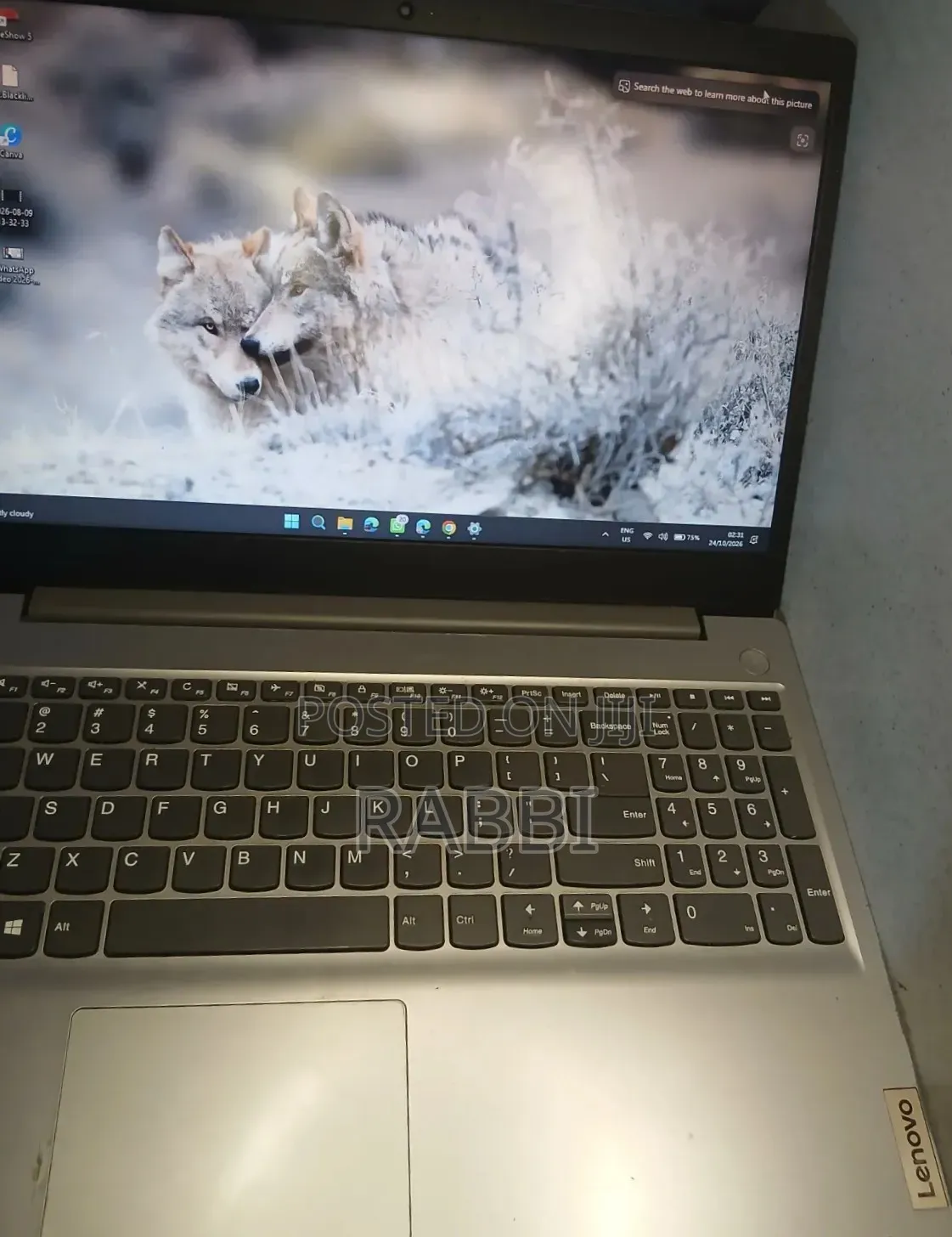 Laptop Lenovo Ideapad 3 8GB AMD SSD 128GB