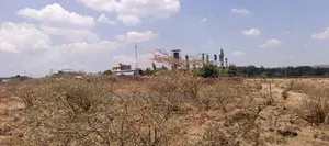 Quarter Acre Plots for Sale in Ngong Kimuka Town