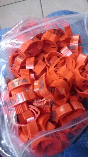 Chicken Leg Bands