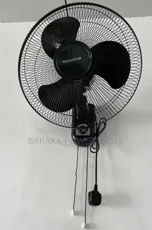 Wall Fan Wegastar