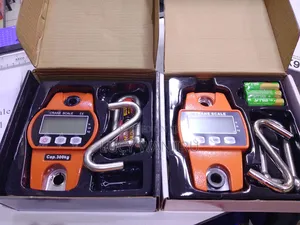 Digital 300kg Crane Scale