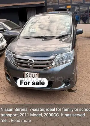 Nissan Serena 2011 Blue