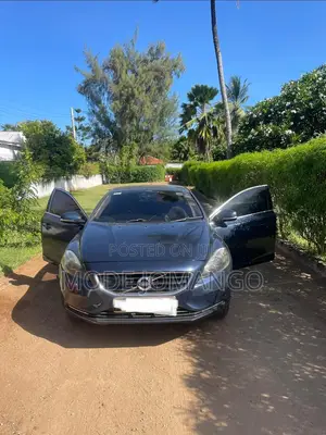 Volvo V40 2013 Blue