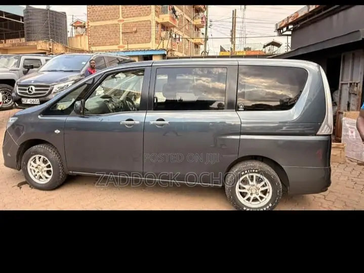 Nissan Serena 2011 Blue