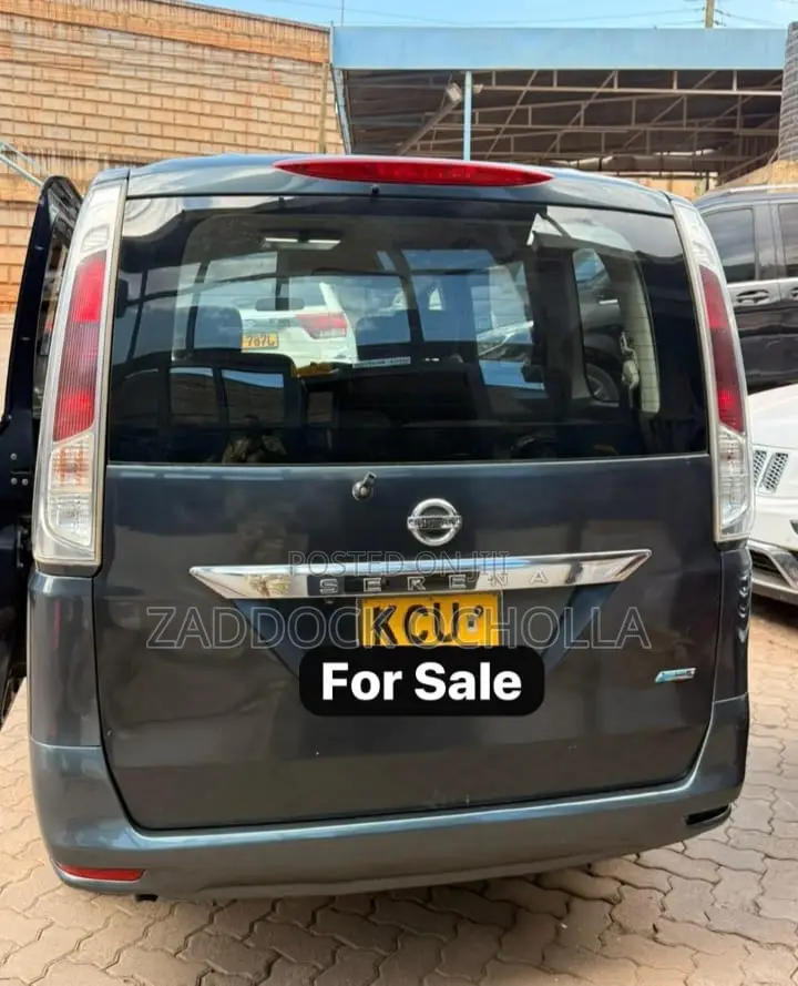 Nissan Serena 2011 Blue