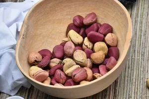 Kolanuts and Bitter Kola