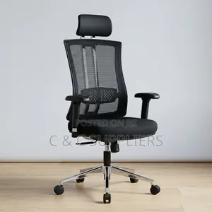 Orthopedic Mesh Lumber Chair With Headrest