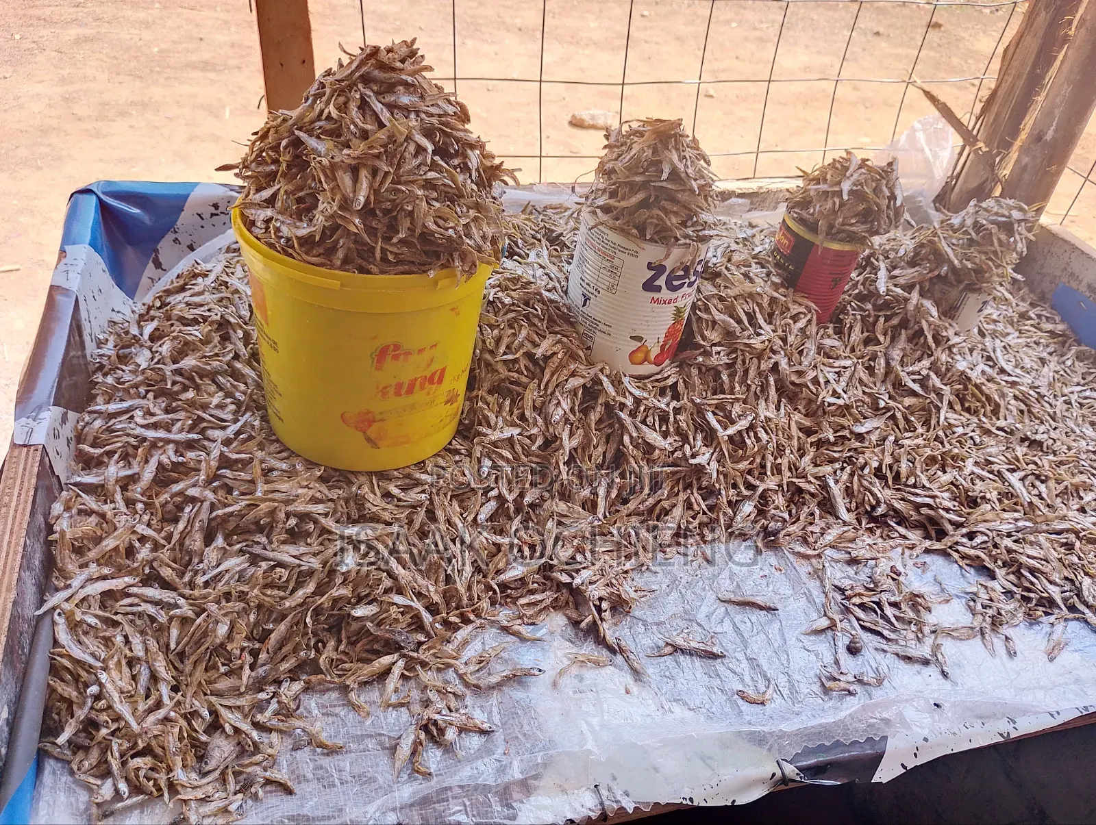 Fresh Omena for Affordable Price