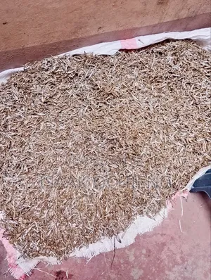 Fresh Omena for Affordable Price