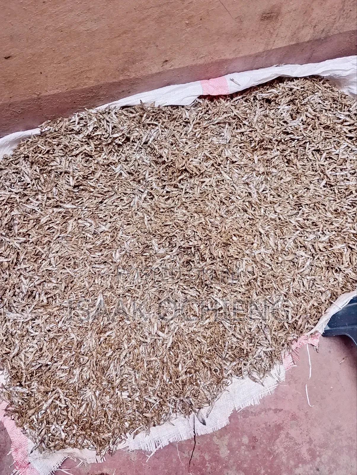 Fresh Omena for Affordable Price