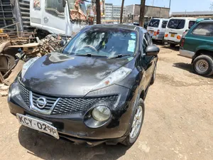 Nissan Juke 2013 Gray