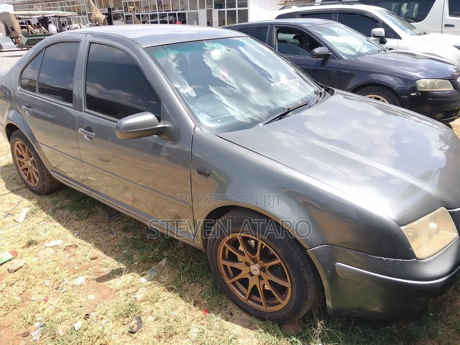 Volkswagen Bora 2006 Gray