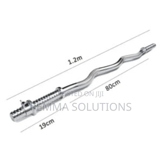 1.2M Standard EZ Curl Barbell.