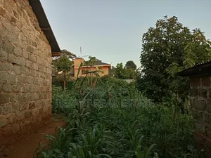 1/4 Acre Property in Kamangu Town 150mtrs From Tarmac