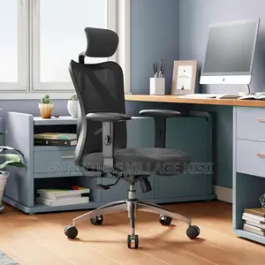Orthopedic Executive Office Chair