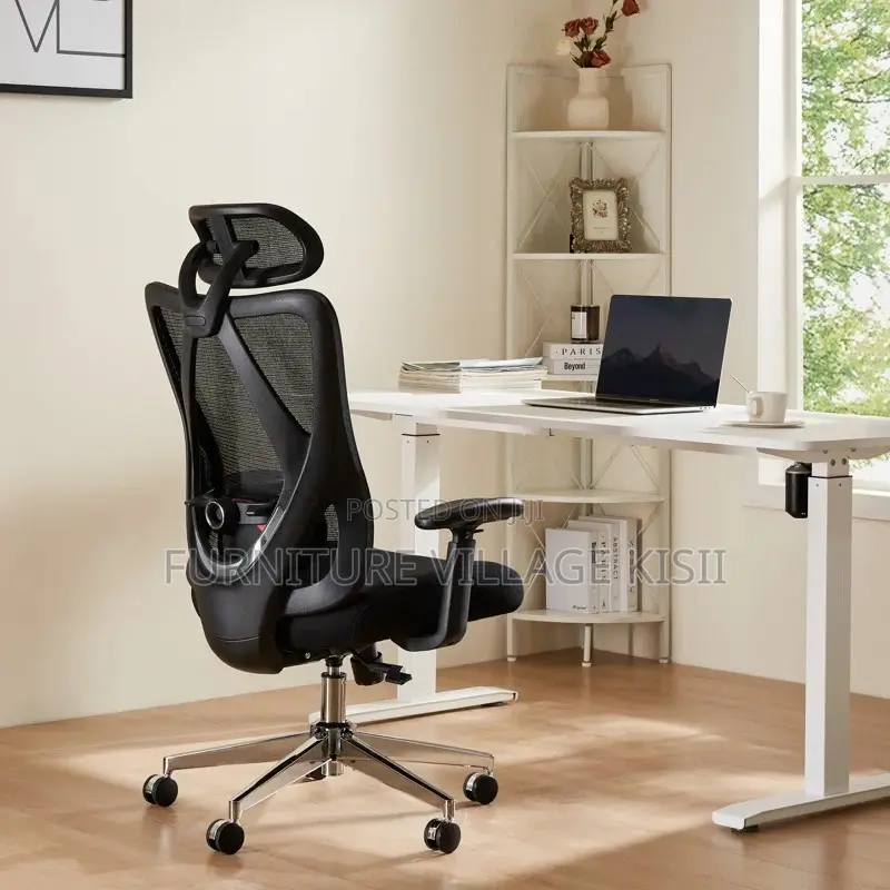 Orthopedic Executive Office Chair