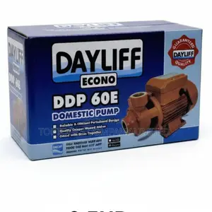 Dayliif Econo DDP 60e Domestic Booster Pump 0.5hp