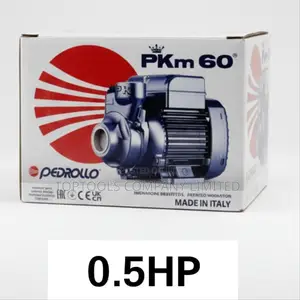 Pkm60 Dayliff Pedrollo Booster Pump 0.5hp