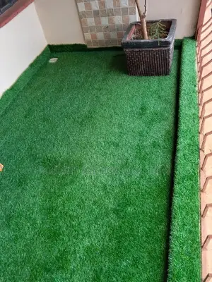 Indoor Outdoor Grass Carpet