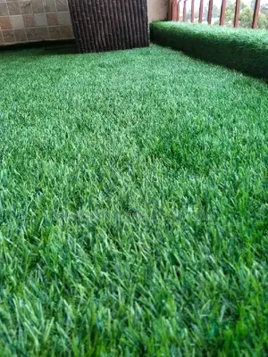 Super Low Maintenance Grass Carpet
