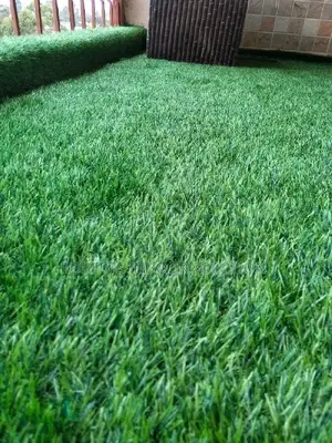 Super Low Maintenance Grass Carpet