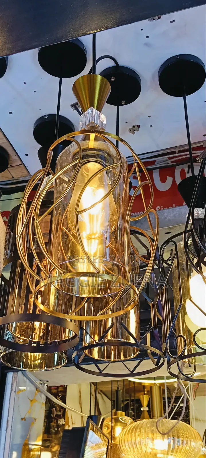 Adjustable Ceiling Light