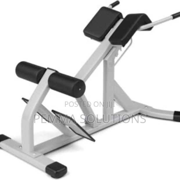 Commercial Gym Hyper Extension / Back Extension Machine.