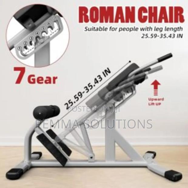 Commercial Gym Hyper Extension / Back Extension Machine. - thumbnail 2