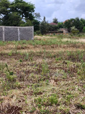 1⁄8 (50×100) Acre Plots Kerarapon