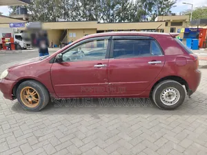 Toyota Allex 2008 Red