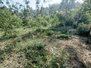 Plot Shamba on Sale Ikonyero, Kakamega