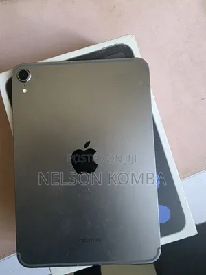Apple iPad mini Wi-Fi + Cellular 128 GB Gray