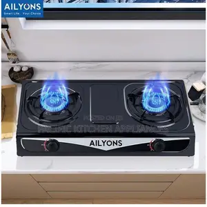 AILYONS 2 Burner Tabletop Auto-Ignition Stainless Steel Gas Cooker