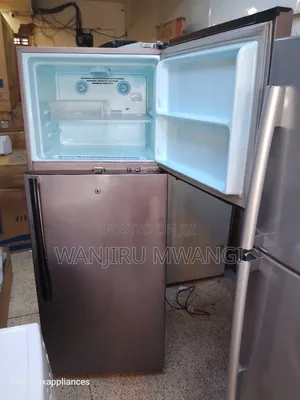 Gray in Colour LG Fridge