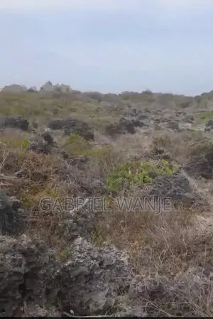 Beach Plot Land for Sell First Raw
