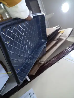 Hydroponic Tray for Vegetable Seedlings - With Holes