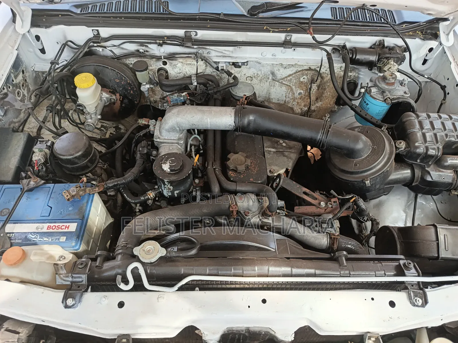 Nissan Hardbody 2007 White