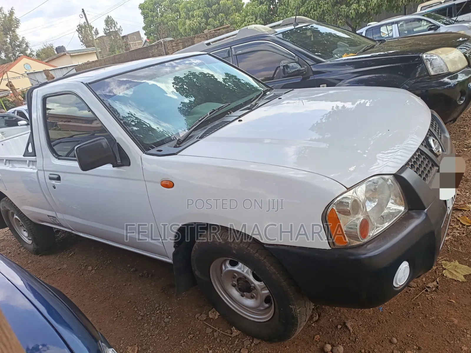 Nissan Hardbody 2007 White