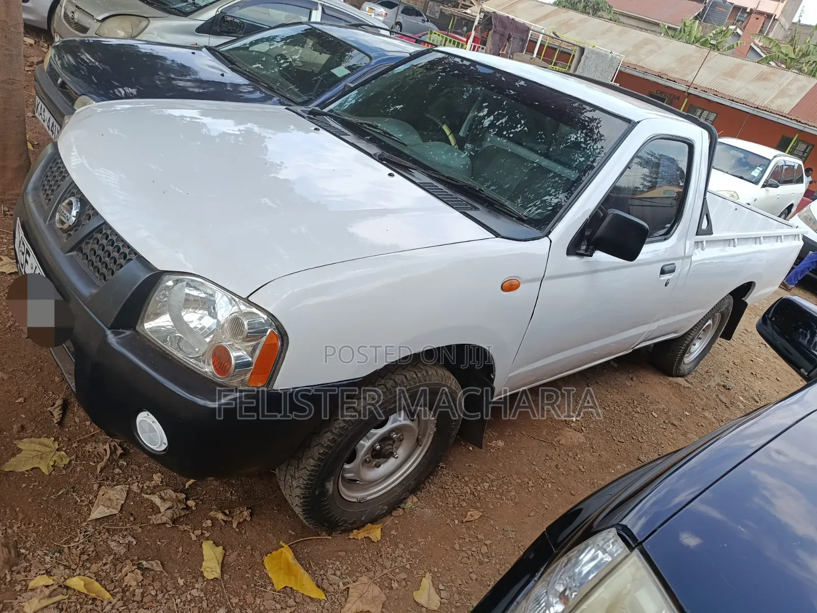 Nissan Hardbody 2007 White