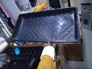 Hydroponic Tray for Kitchen Gardens - With Holes