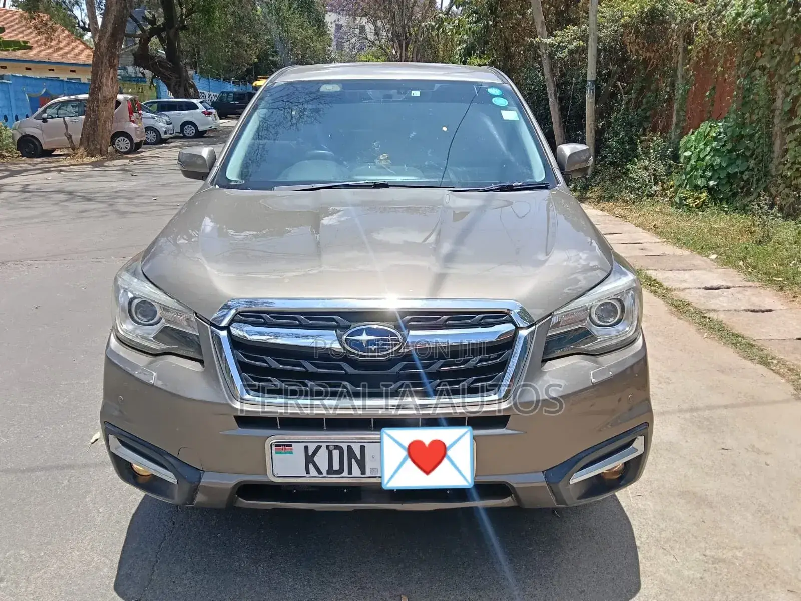 Subaru Forester 2016 Brown