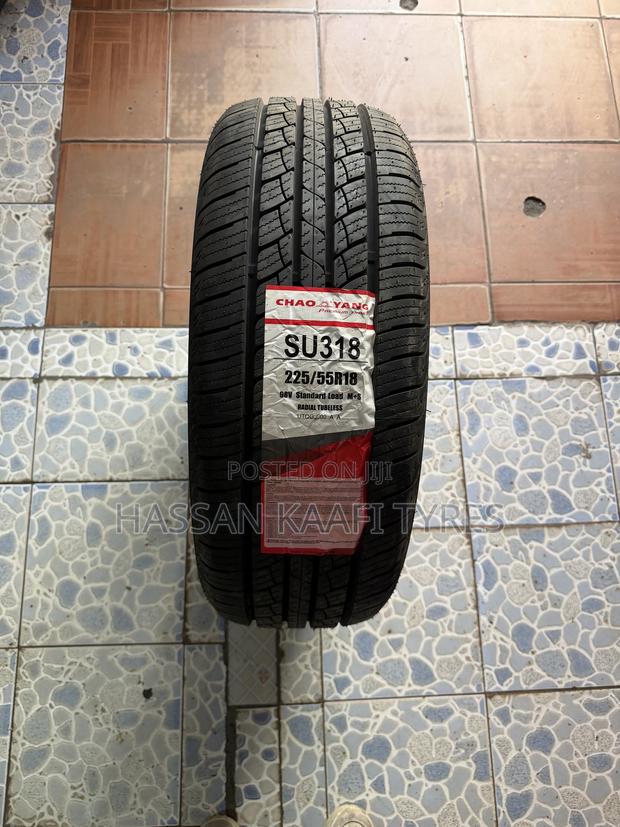 225/55r18 Chaoyang Tyre